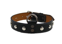 Black Dog Collar with Round Silver Studs