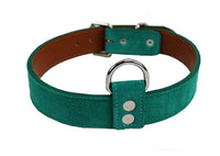 Turquoise Suede Dog Collar DC54