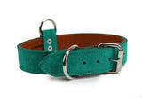 Turquoise Suede Dog Collar DC54
