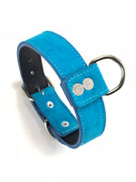 Turquoise Suede Dog Collar DC102