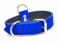 Blue Suede Dog Collar DC78