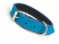 Turquoise Suede Dog Collar DC147