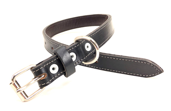 Buddy Dog Collar with White Stitching BC53