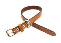 Lucy Dog Collar LC62