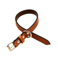 Lucy Dog Collar LC85