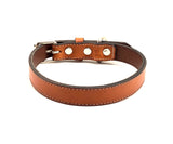Lucy Dog Collar LC83