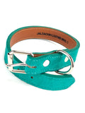 Turquoise Dog Collar Dark DC154