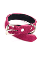 Pink Suede Dog Collar DC141