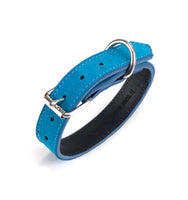Turquoise Suede Dog Collar DC147